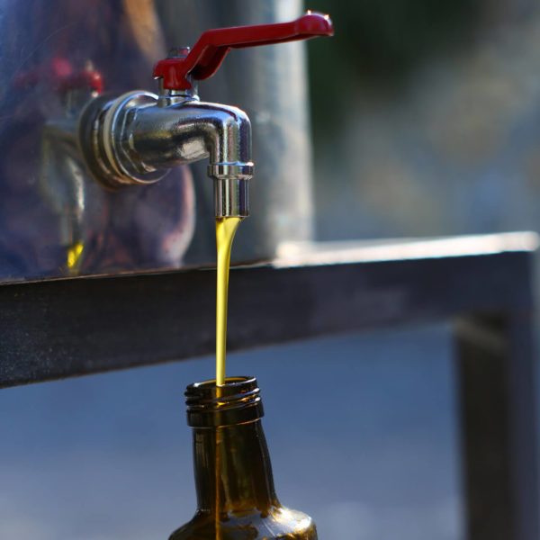 Olive Oil production